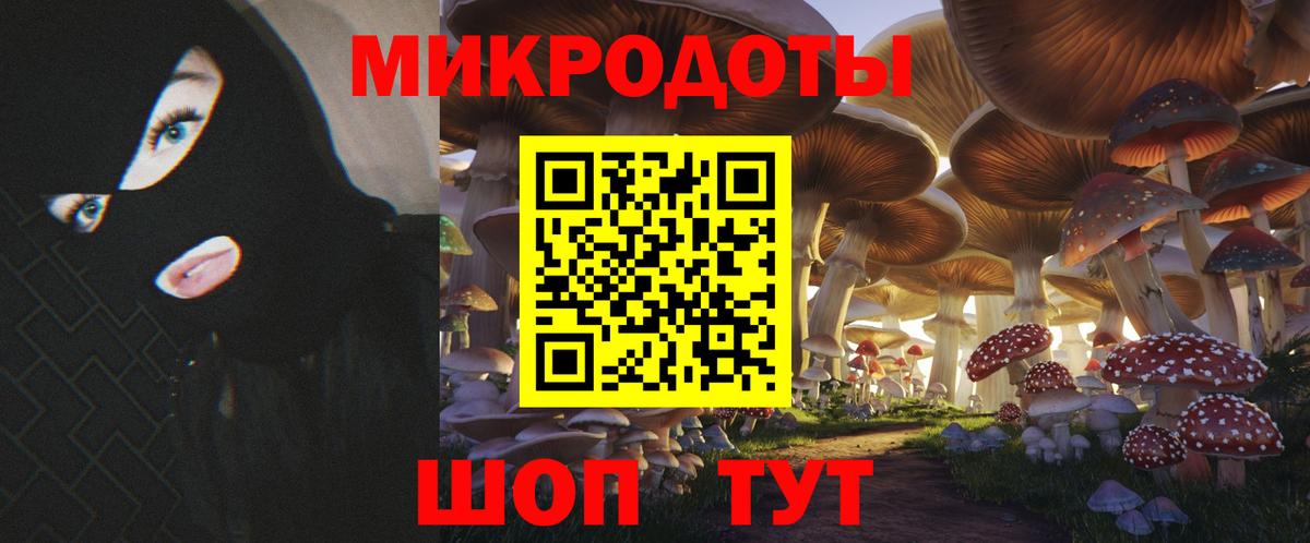 Галлюциногенные грибы Psilocybine cubensis  Вход с VPN  Новороссийск 